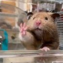 뚝섬한강공원-16 이미지