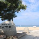 해돋이 펜션 이미지