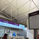 복인 민박 | [첫 혼여행_스페인] ep.01 카타르항공후기/바르셀로나/꿀대구/고딕지구 야경투어