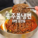 대전 둔산동 [송주불냉면] - 매운불냉면으로 너무나 유명한 송주불냉면! 대전에 상륙! HOT 리얼 후기
