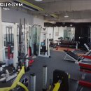 바디휘트니스 GYM 이미지