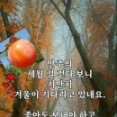 11월 24일 월요일(끝말잇기) 올려봄니다요 이미지
