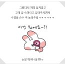 봄에 만나 처음 배우는 젠탱글 초급 | 새벽수영 강습 3년, 2025년을 되돌아보며 쓰는 수영일기