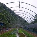 안이하우스 이미지