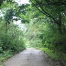 원주굽이길 원3코스 백운산자연휴양림길 이미지