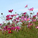 너를 만나다 이미지