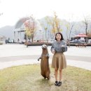 평화의댐 펜션 이미지