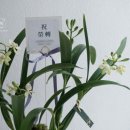 그린내추럴경기