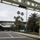 우진풍력 | [ 제주도 2박3일 태교여행 #01 ] 제주여행코스추천, 우진해장국 웨이팅, 고등어 김치찜, 새별오름, 카페...