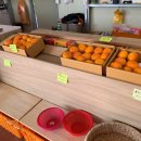 교래팔도농수산