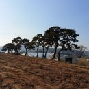 여주둥지공인중개사사무소 네이버블로그