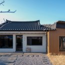 스테이 다래 이미지