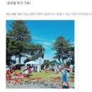 뉴리멤버 | 뉴질랜드 영주권자와 40대 공대 오빠는 왜 뉴리치프라퍼티에 입사했을까?(뉴리치 RPM, 노마드 엘리)