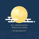 제이엠코리아(JM KOREA) 네이버블로그