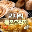 이탕소유원지 | 《씨다씨 동촌유원지》 통유리 뷰 + 전복 기본탕?! 여기가 진짜 동촌유원지 맛집🫧