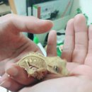 얌얌이푸드 이미지