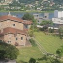 별빛아리수 이미지