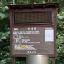 꽃과차가있는샘터 이미지