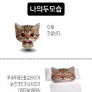 장미의옷수선집 | [5월 일상 2] 초록을 거머쥔 우리는🍀🌿