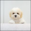 유어라운지 이미지