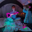 경희대 진 태권도 이미지