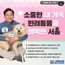 엥 서울은 반려동물 의료보험 시작된다고? 이미지