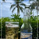 주식회사 호림글로벌코퍼레이션 | [맥주] 필리핀 맥주 산미구엘 라이트, 필리핀 맥주 종류 추천, 페일 필스너 라거 맥주, 필리핀 보홀...