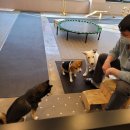 이재룡의 뭉개뭉개 유치원 이미지