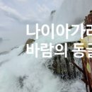 나이아가라오락실 이미지