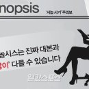 시놉시스