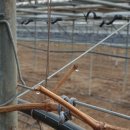 일비농장 이미지