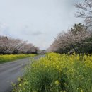 동홍로99번길 이미지