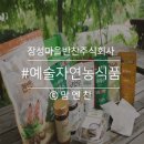 예술자연농식품 네이버블로그