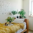 맹그로브 동대문 이미지