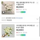 슈망플레르 이미지