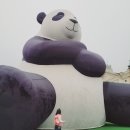 오성비철자원 | 에버랜드 다녀온 후기.. 판다월드 판다들은 잠만자고😭 아마존은 재미있어요👍