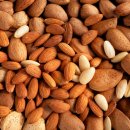 견과 하루 이미지