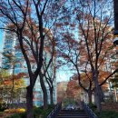 갈울근린공원 이미지