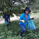 영미농장 이미지