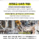 제일타워경로당 네이버블로그