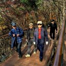 2025-11 만행후기(남산하늘숲길) 이미지