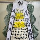 스윗시그널 이미지