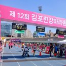 2024년 제12회 김포한강마라톤 참가 이미지