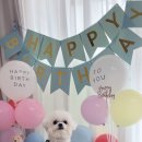 뚜드림 다사점 이미지