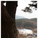 천리농원