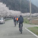 욜로아라