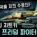 미국만 할 수 있는 전세계 지원 치트키 "F-5 프리덤 파이터" / 대한민국을 지킨 수호신! [지식스토리] 이미지