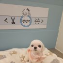 아리미용실