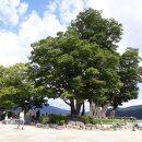 여기가 좋겠네 이미지