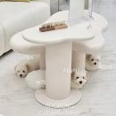 도그송 강아지분양 인천 송도점 이미지